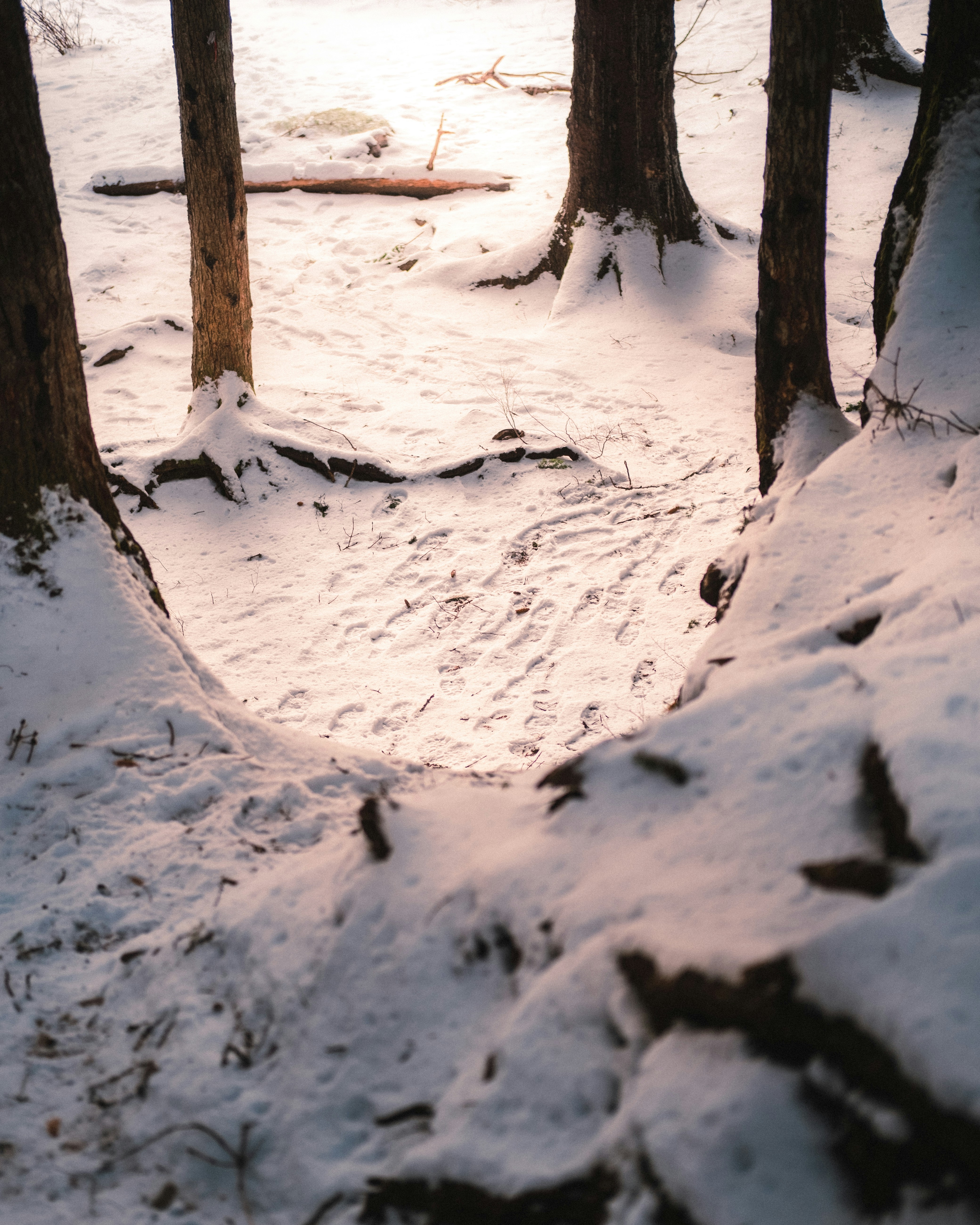 Photo by northernstatemedia