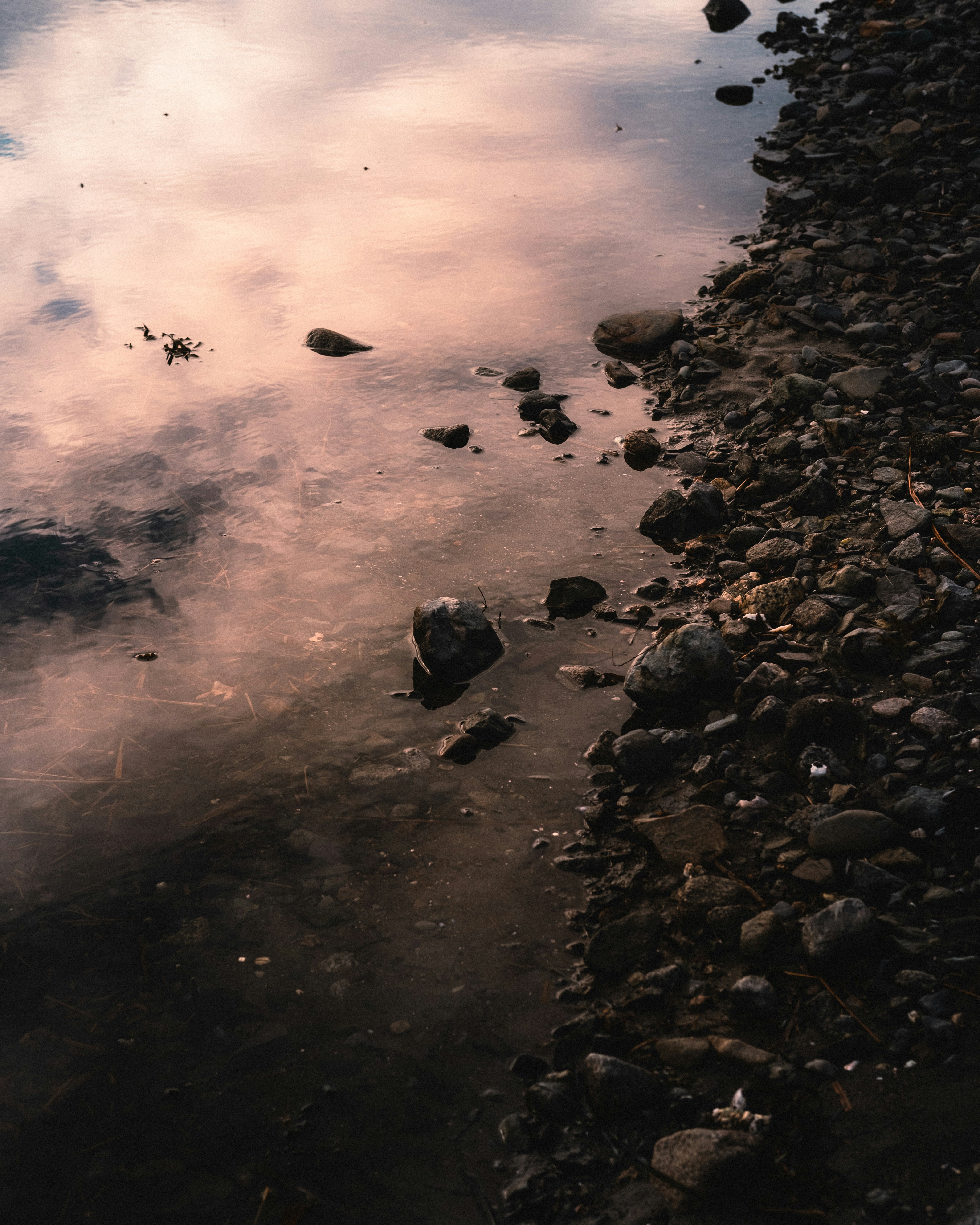 Photo by northernstatemedia