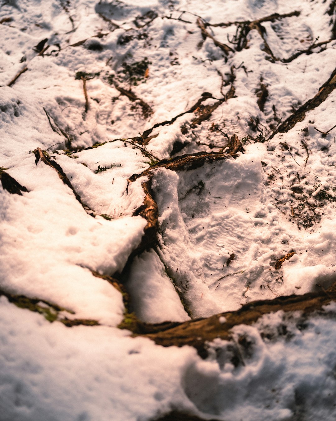 snow covered ground during daytime