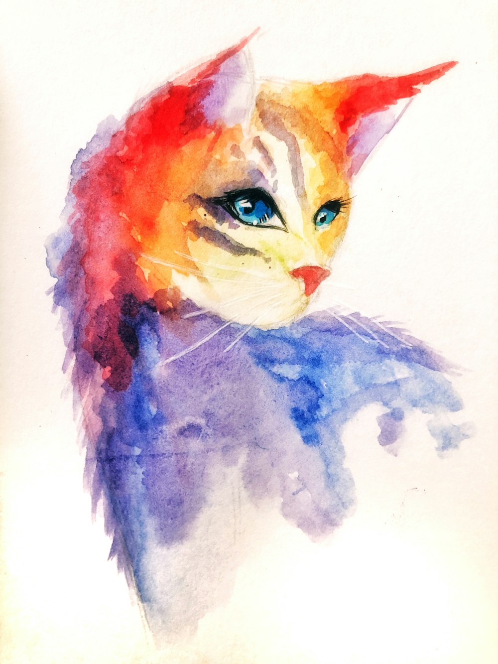 Peinture de chat orange, bleu et blanc