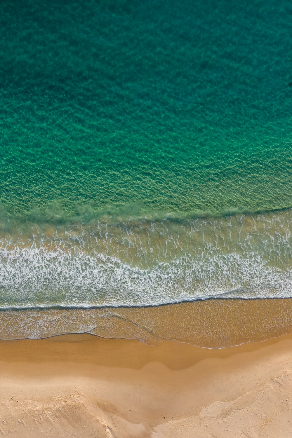 aerial view of beach during daytime