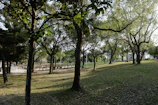A peaceful park scene with people enjoying a sunny afternoon.
