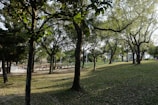 A serene park with people enjoying a sunny day.