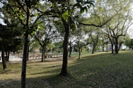 A serene park with people enjoying a sunny day.