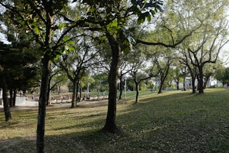 A serene park with people enjoying a sunny day.