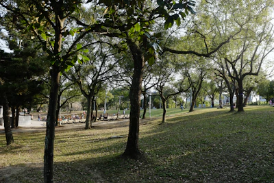 A peaceful park scene with people enjoying a sunny afternoon.