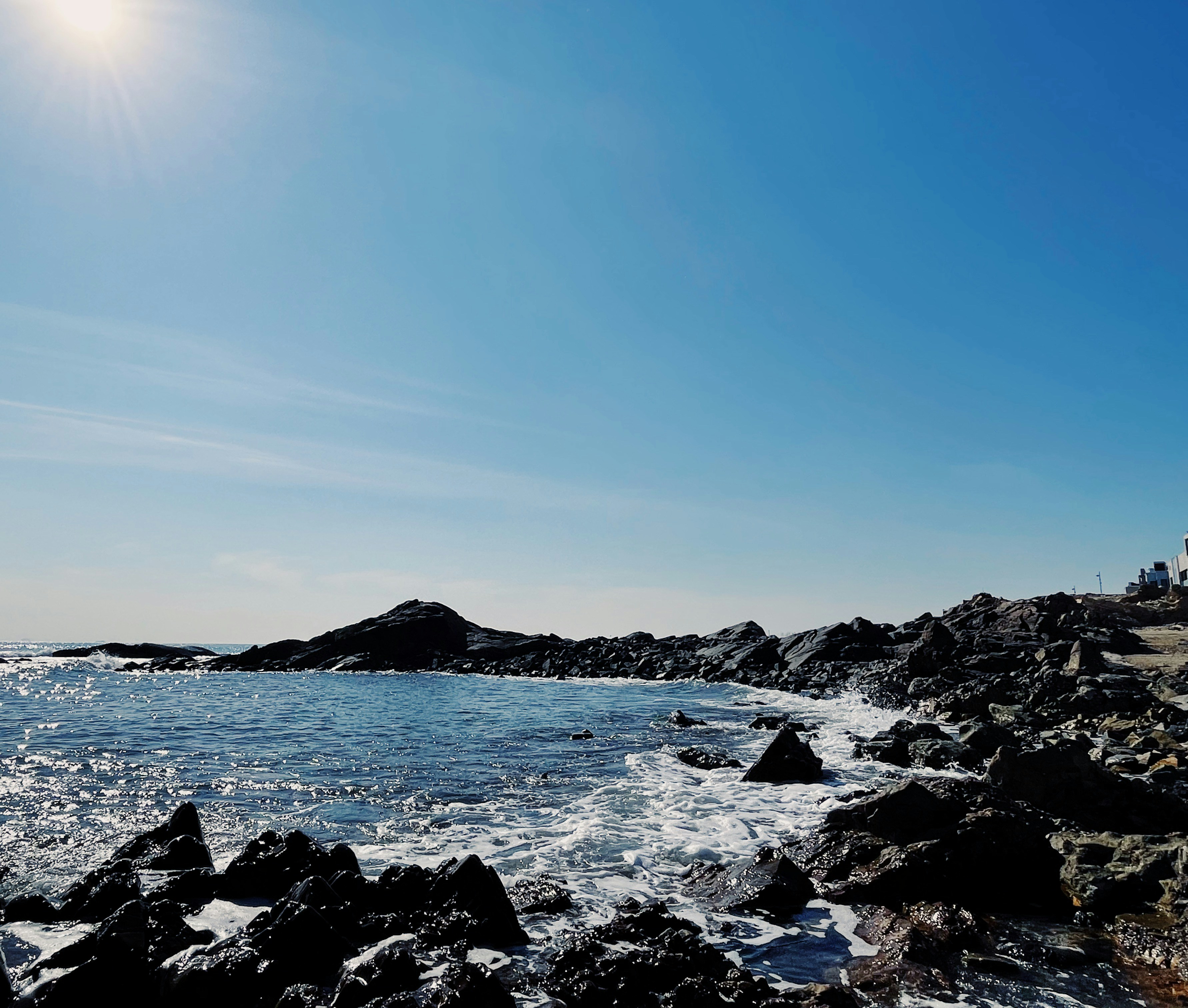 Pure Marine Minerals