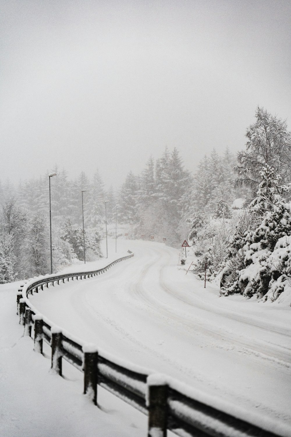 árvores cobertas de neve e estrada durante o dia