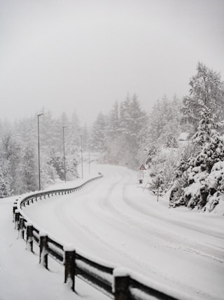 snow covered trees and road during daytime