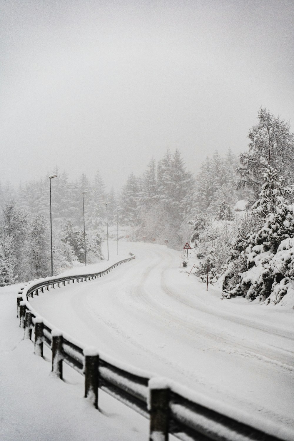 snow covered trees and road during daytime