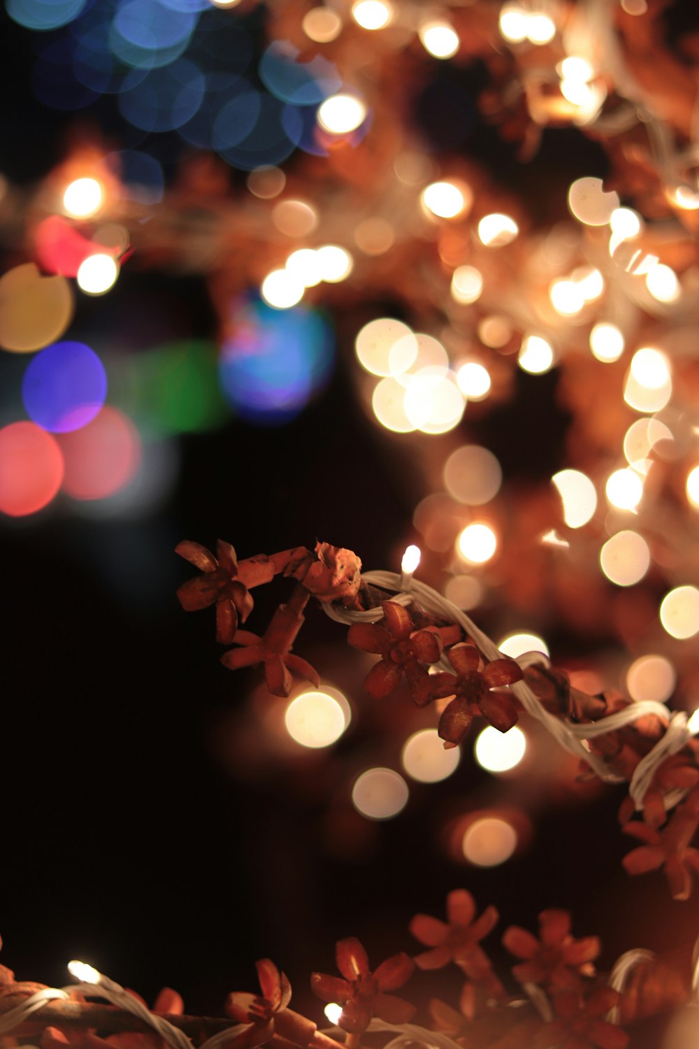 brown and white string lights