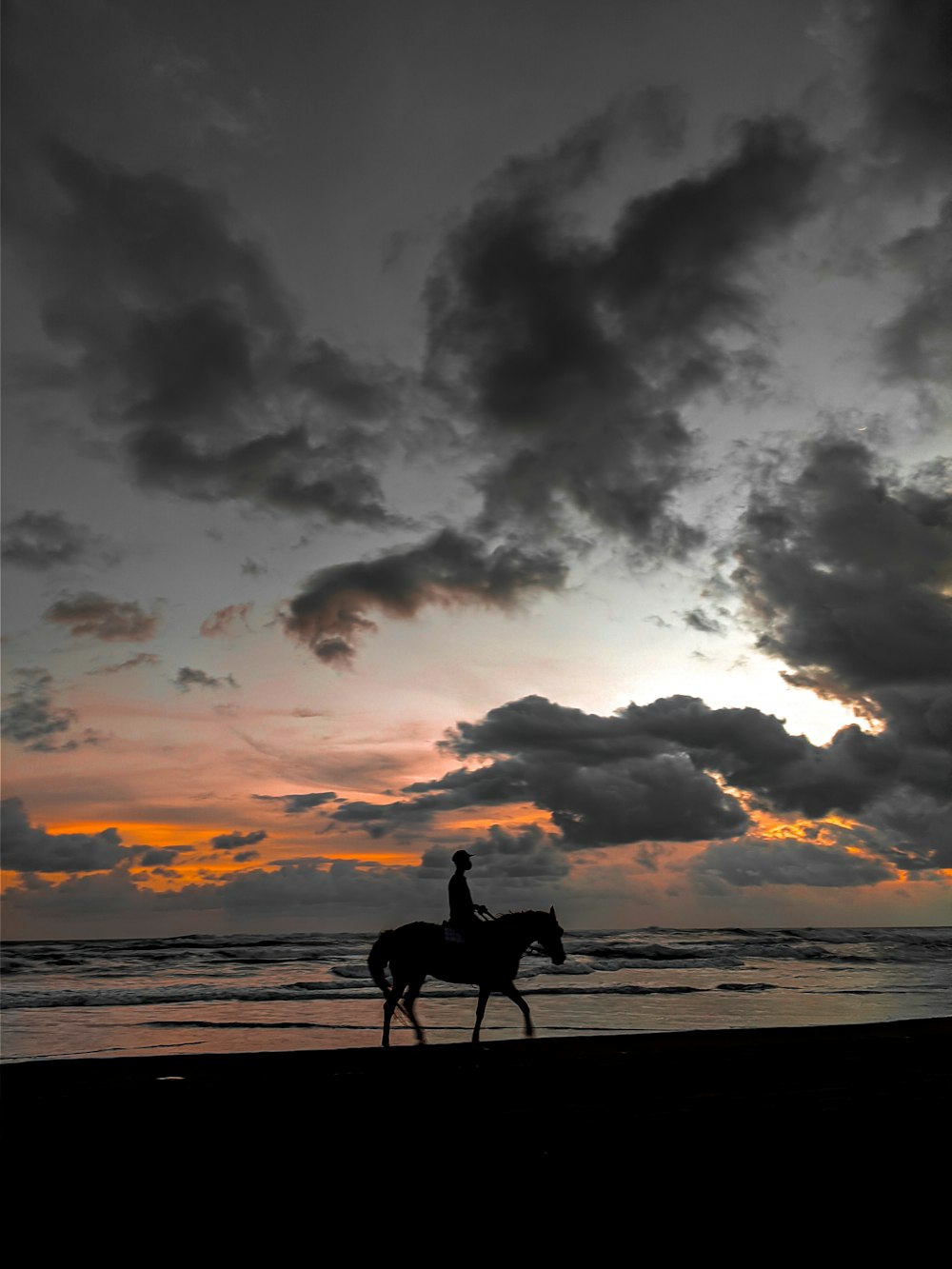 silhouette of dog on beach during sunset