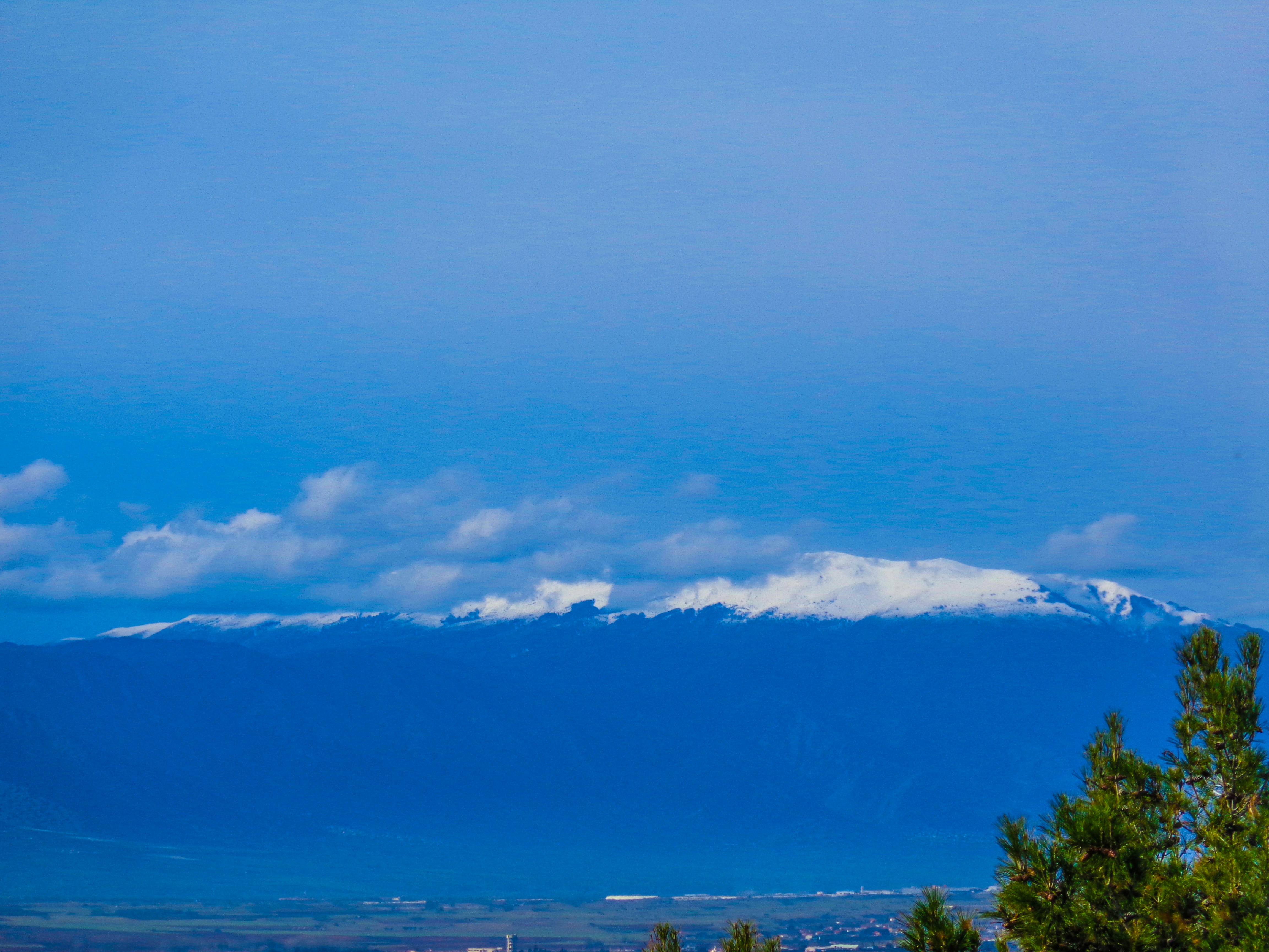 Photo by nikisphotography