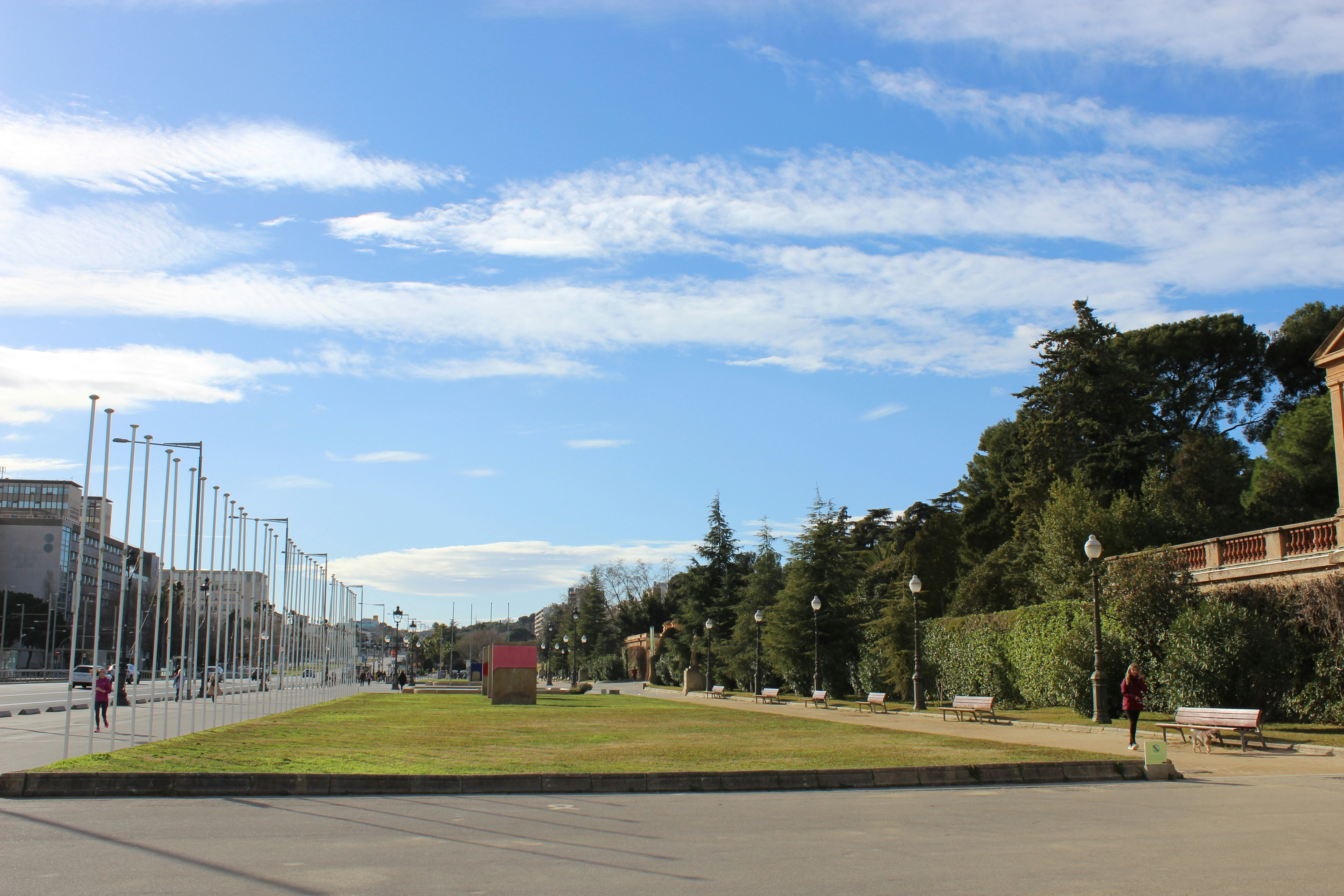 Containers in Arenas Valley, NM