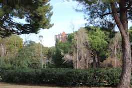 A lush park landscape filled with various trees and greenery, with a modern apartment building featuring red elements visible in the background. The scene is dotted with street lamps that line a path through the foliage under a blue sky.