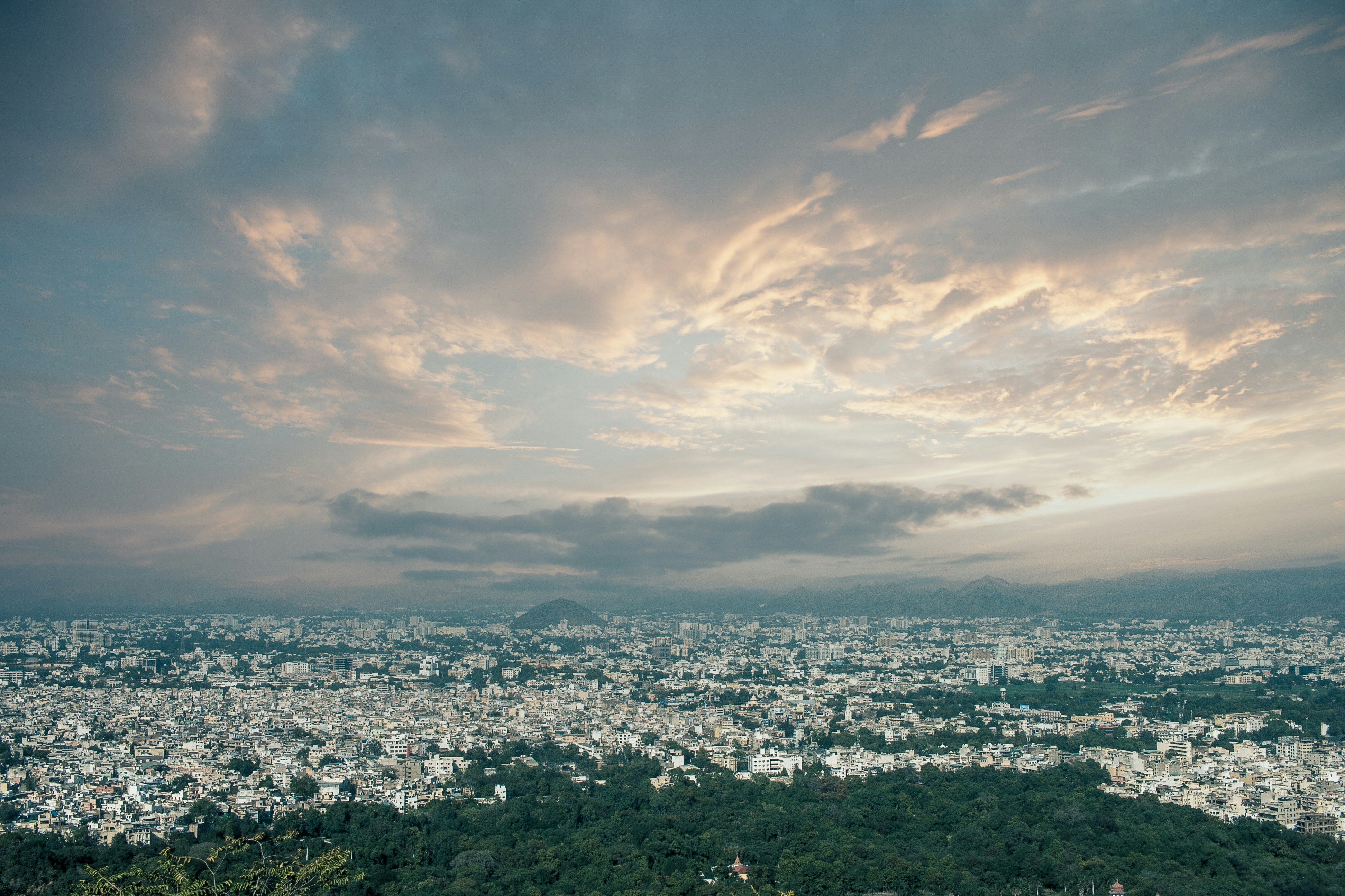 Photo by wildandbeyondbyvivek