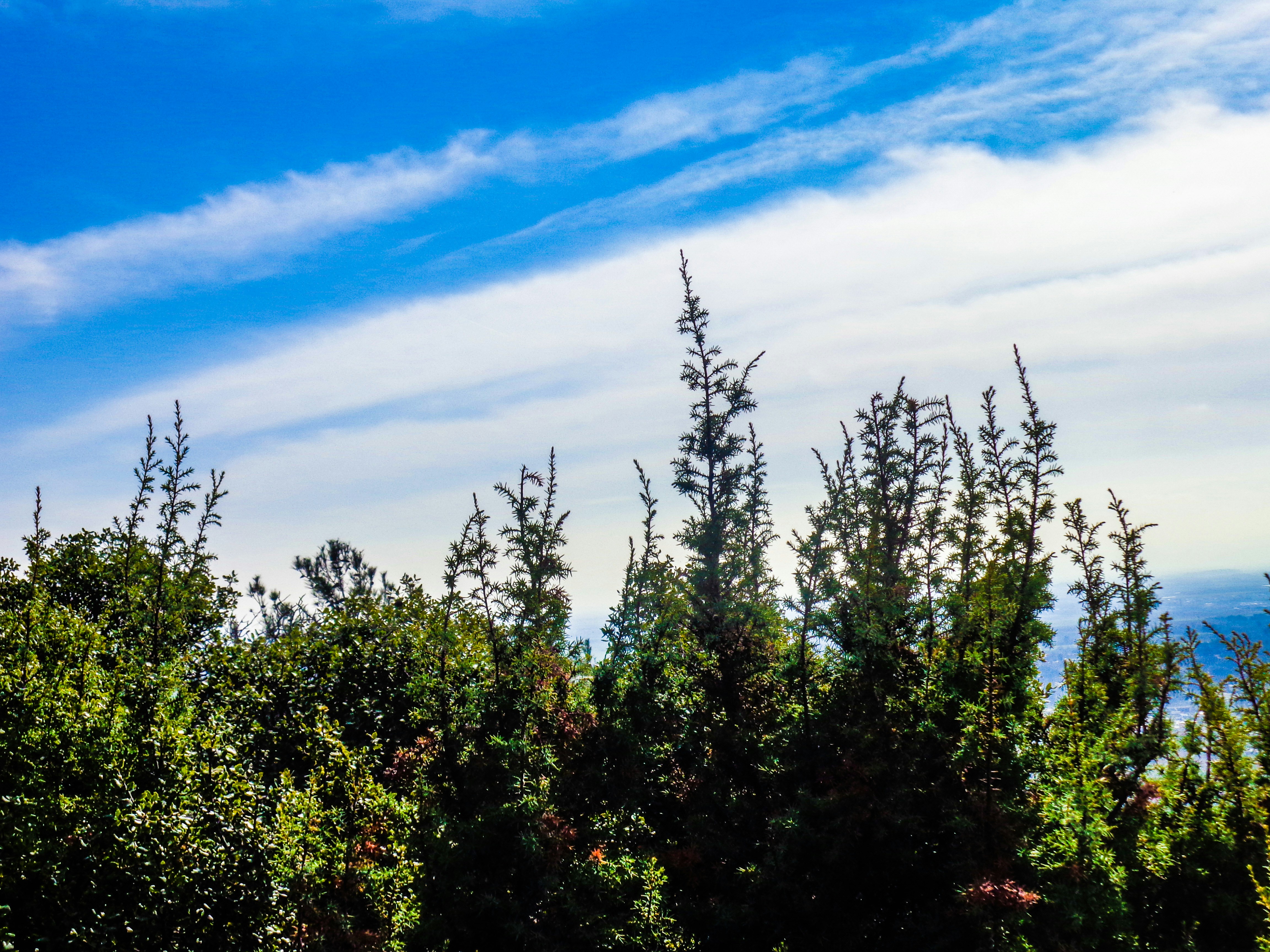 Photo by nikisphotography