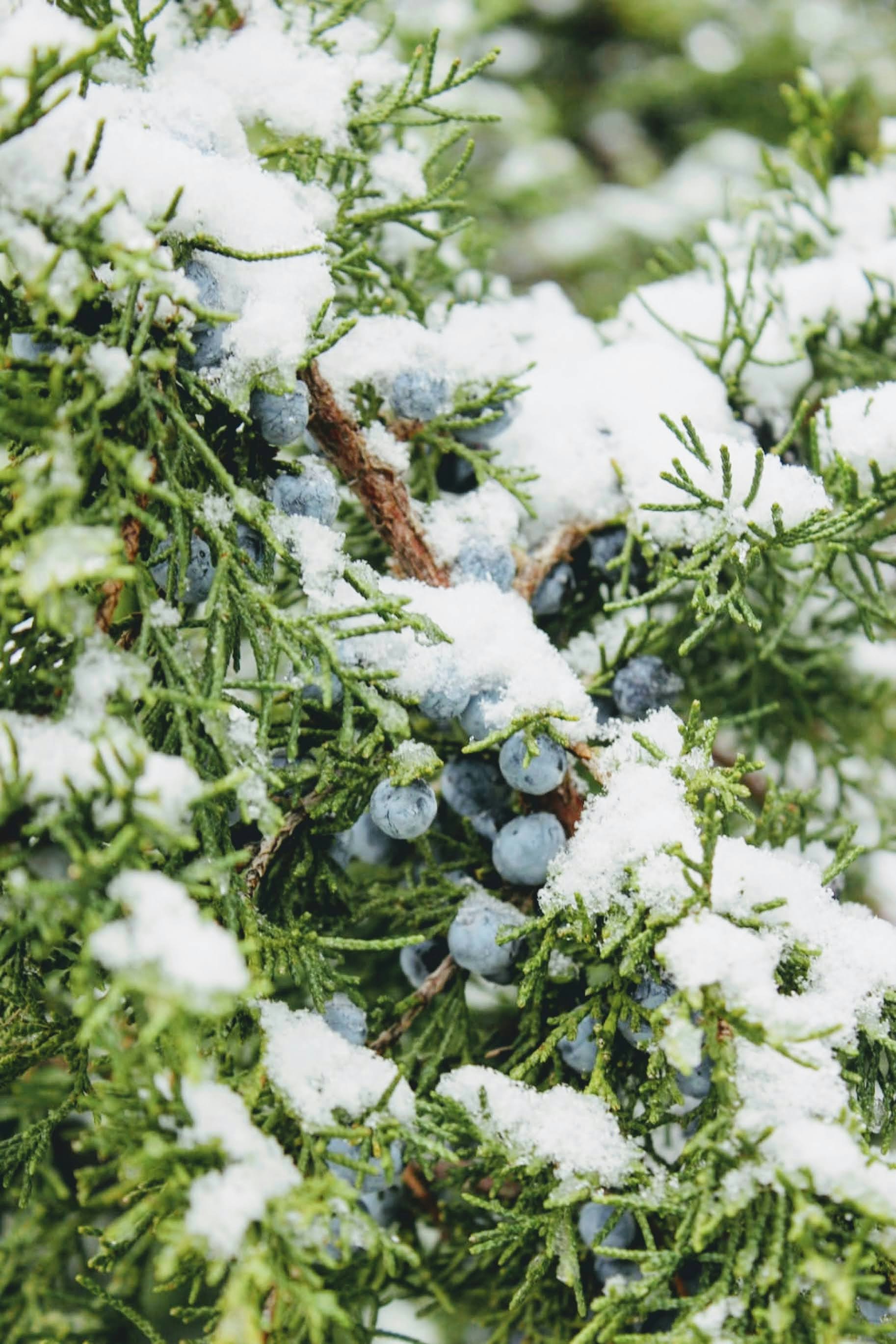 Photo by joylynn_goh