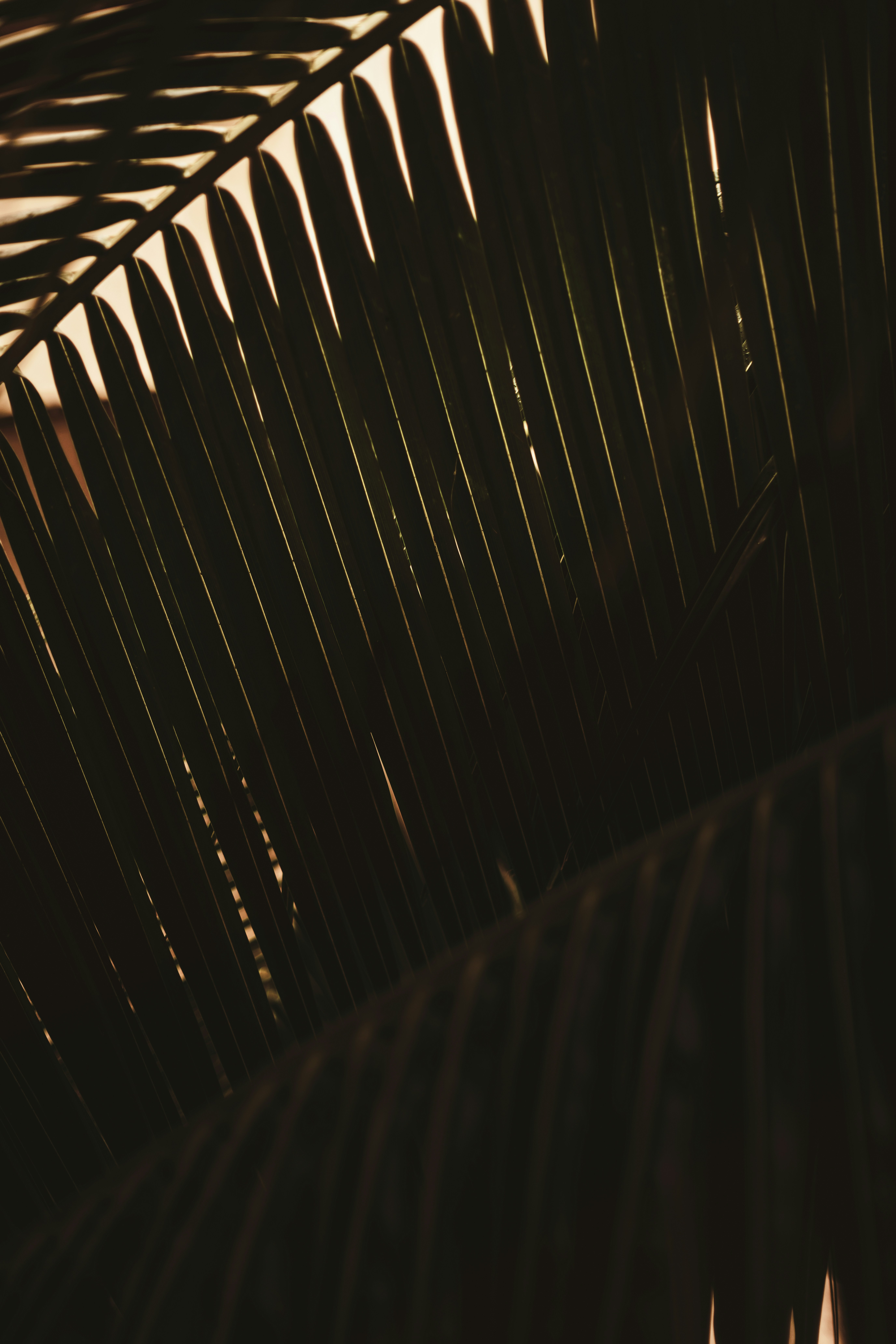 Photo by timmossholder