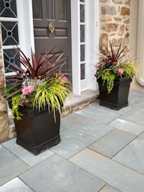 Two large, ornate black planters are positioned on a stone-tiled outdoor space in front of a doorway with a decorative gold knocker. The planters are filled with a variety of plants, including red spiky leaves, pink flowers, and trailing greenery. The background features a wall with a combination of glass panes and stonework.