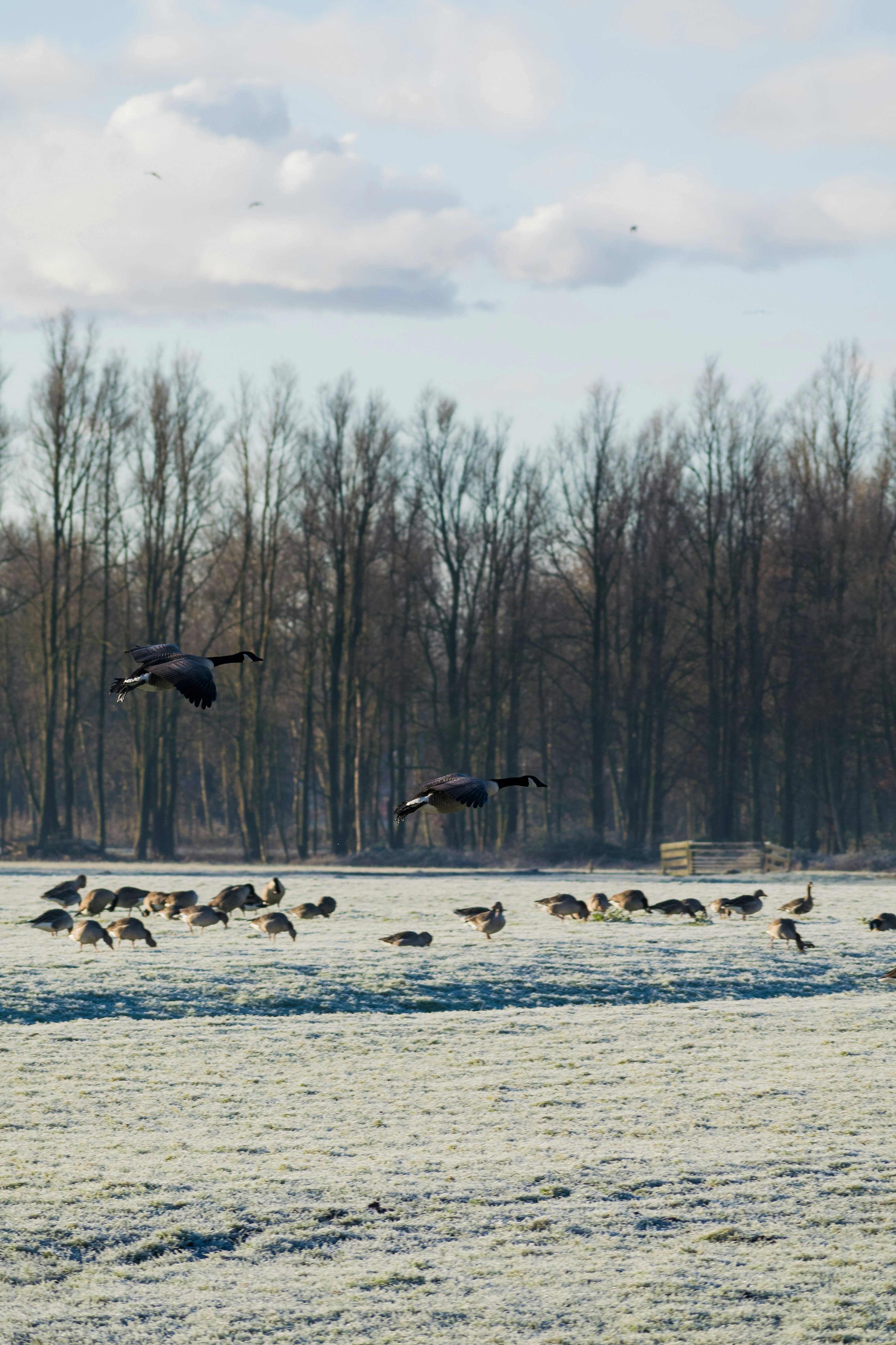 Photo by thezenoeffect