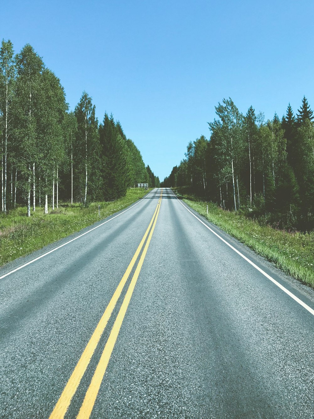 gray concrete road between green trees under blue sky during daytime