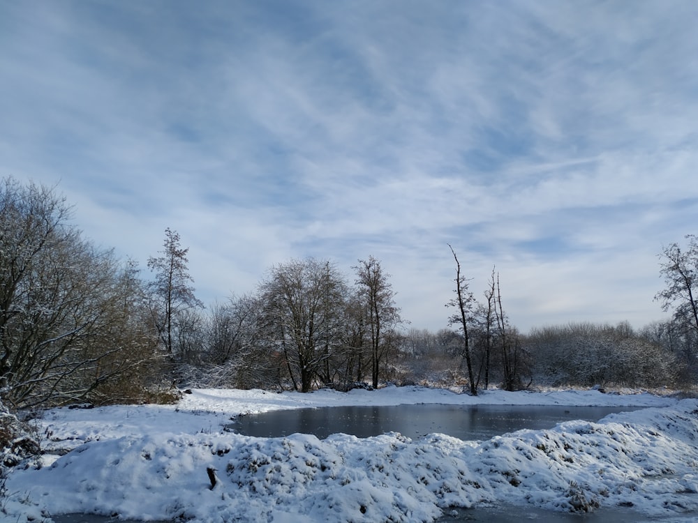 bare trees on snow covered ground under blue and white cloudy sky during daytime