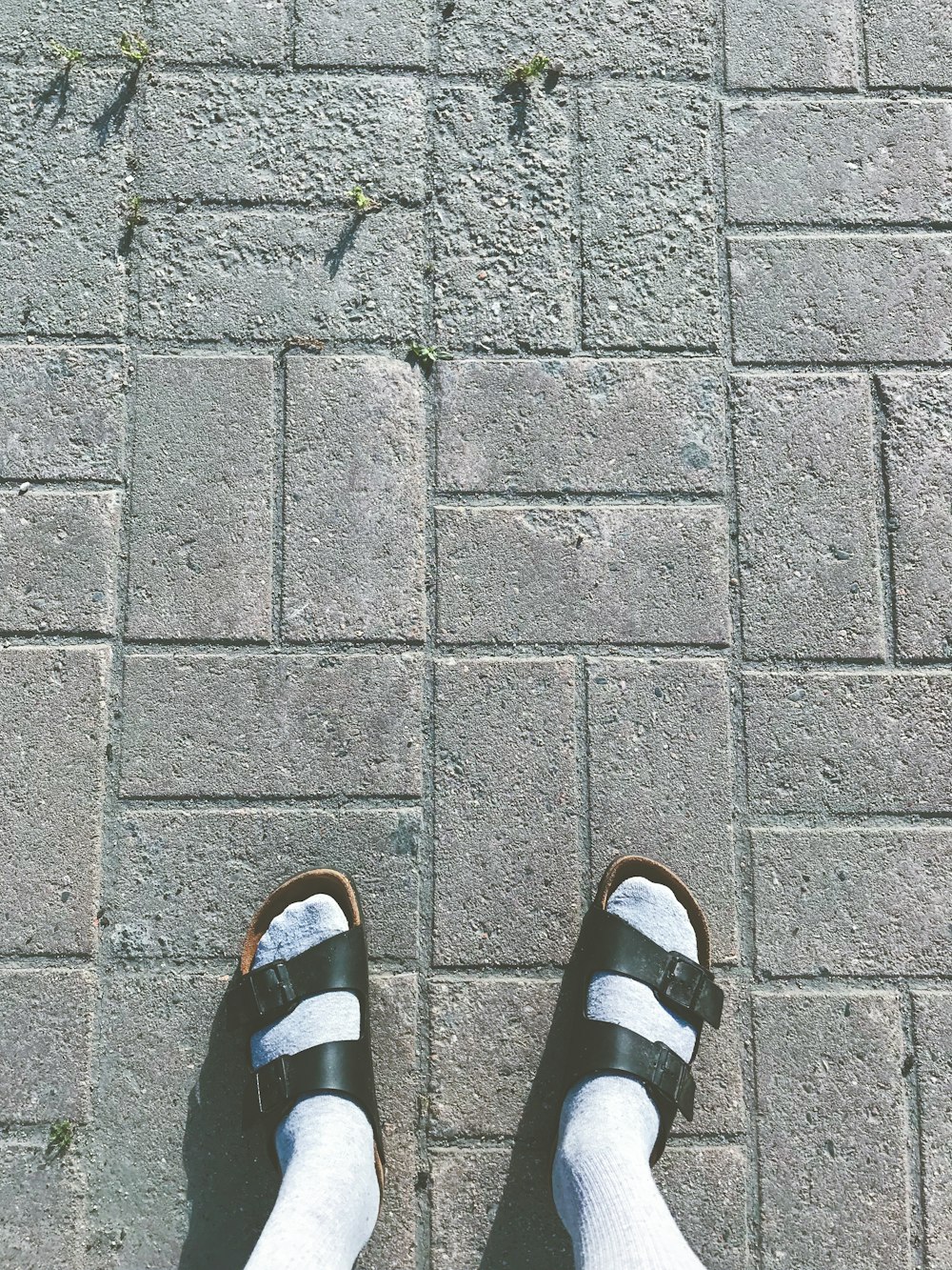 person wearing black and white slide sandals