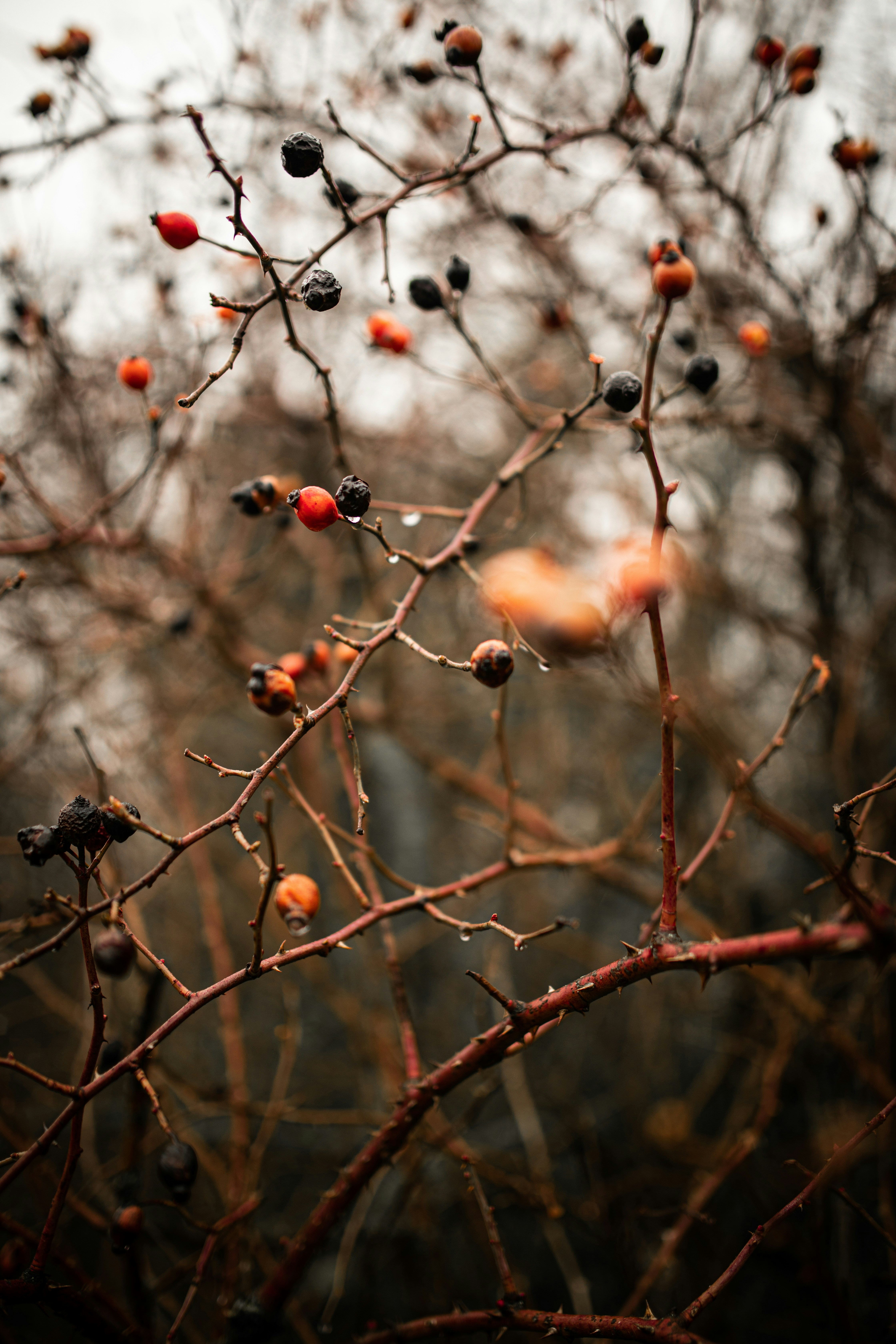 Photo by kajareichardtphotos