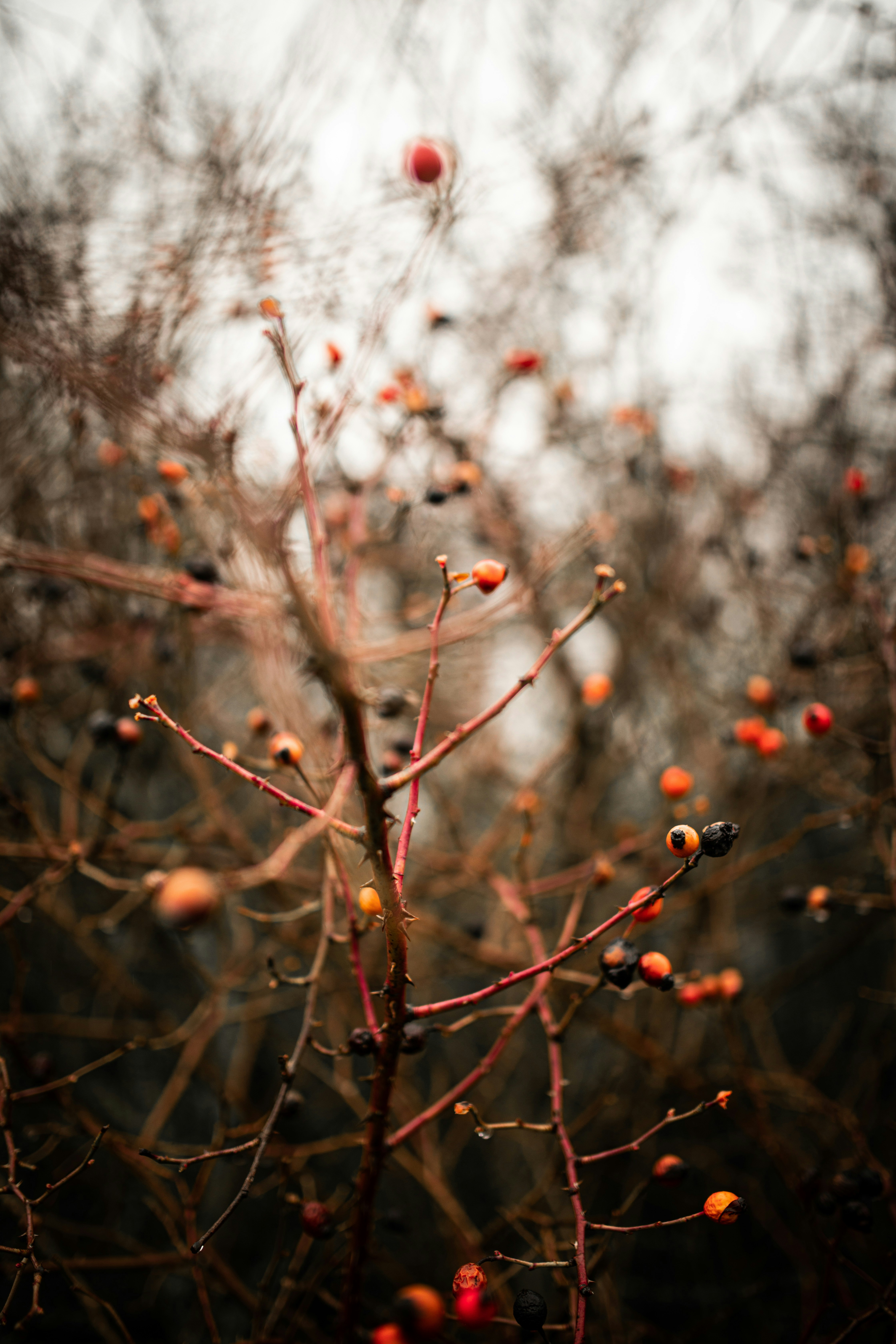 Photo by kajareichardtphotos