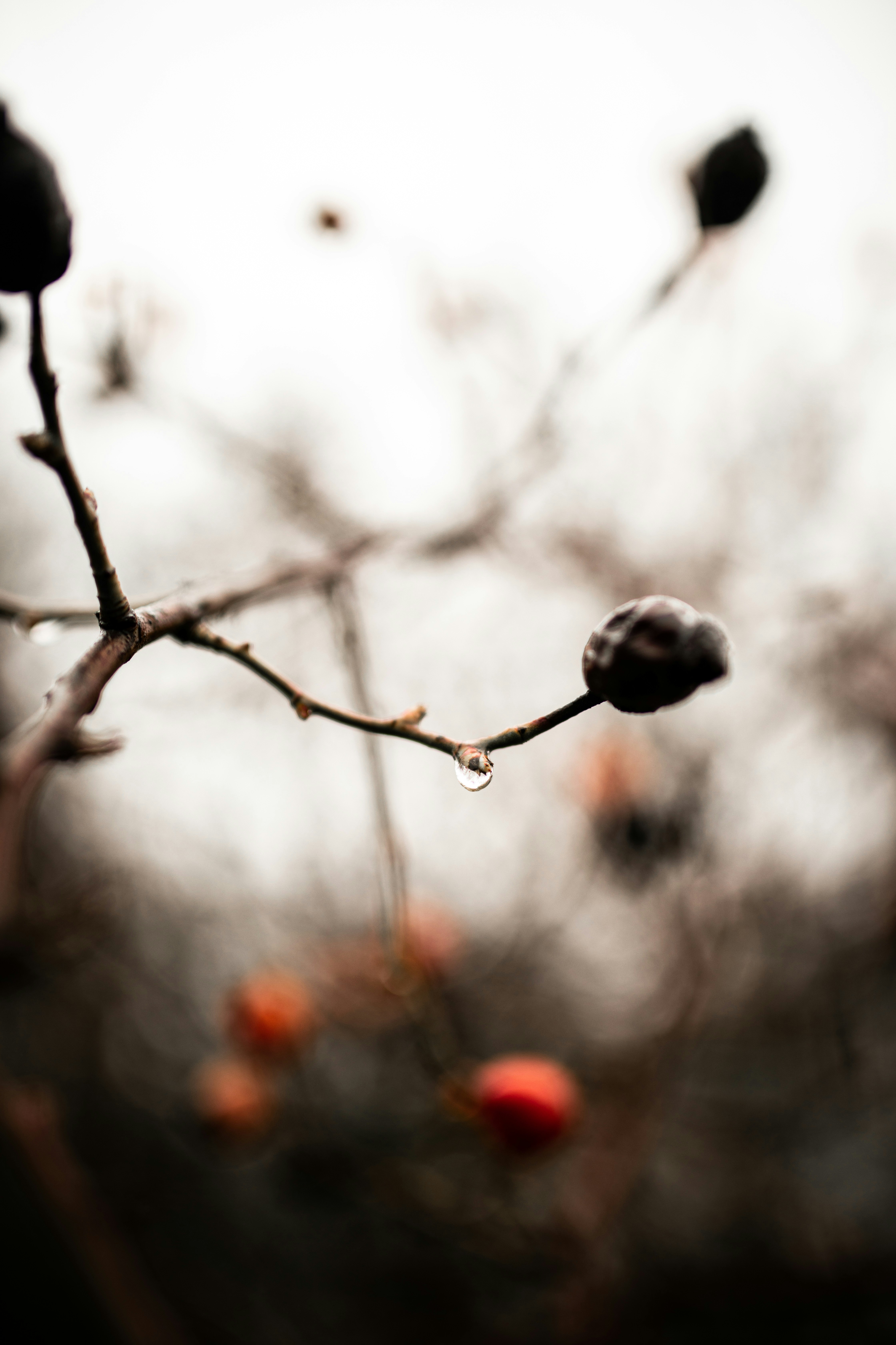 Photo by kajareichardtphotos