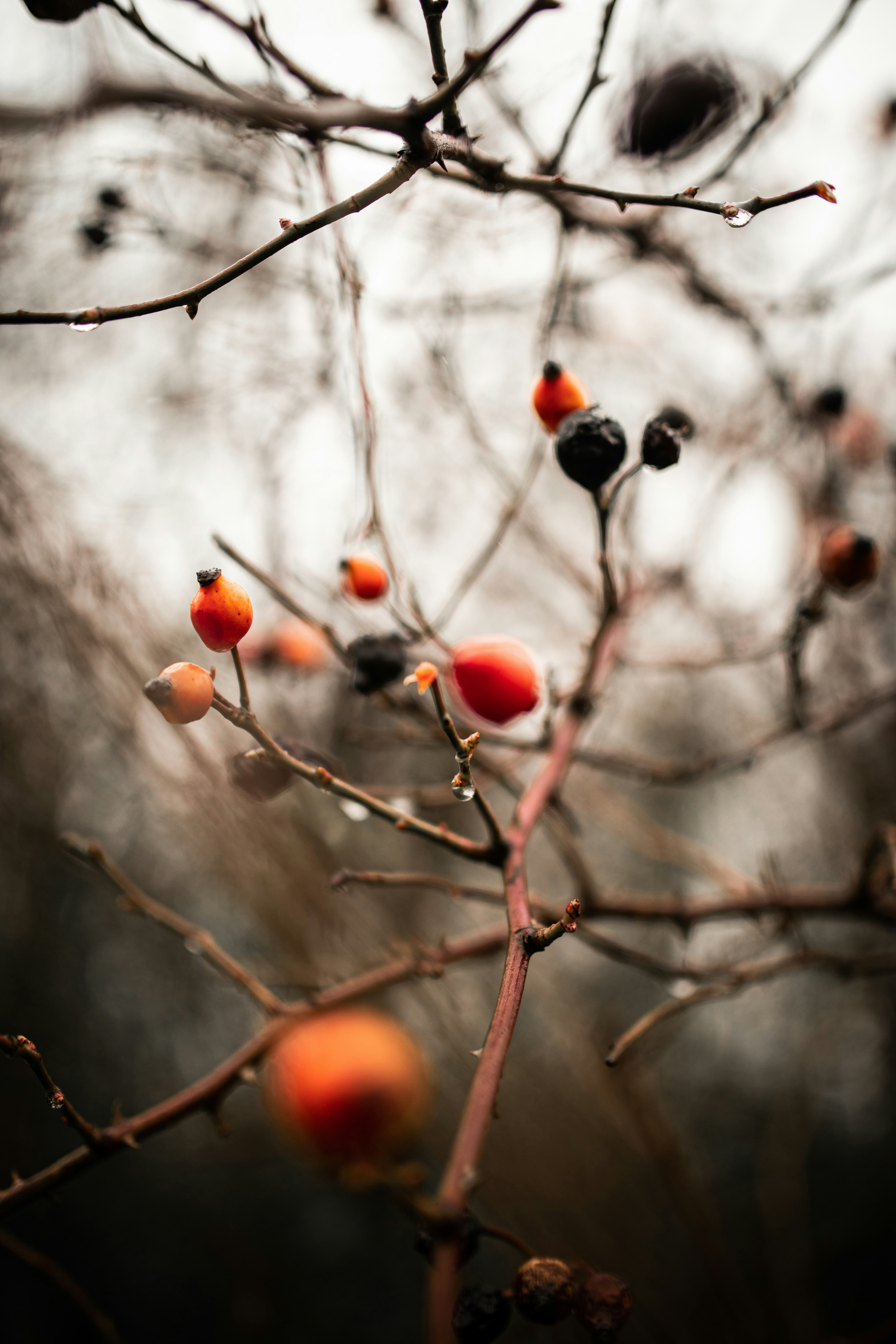 Photo by kajareichardtphotos