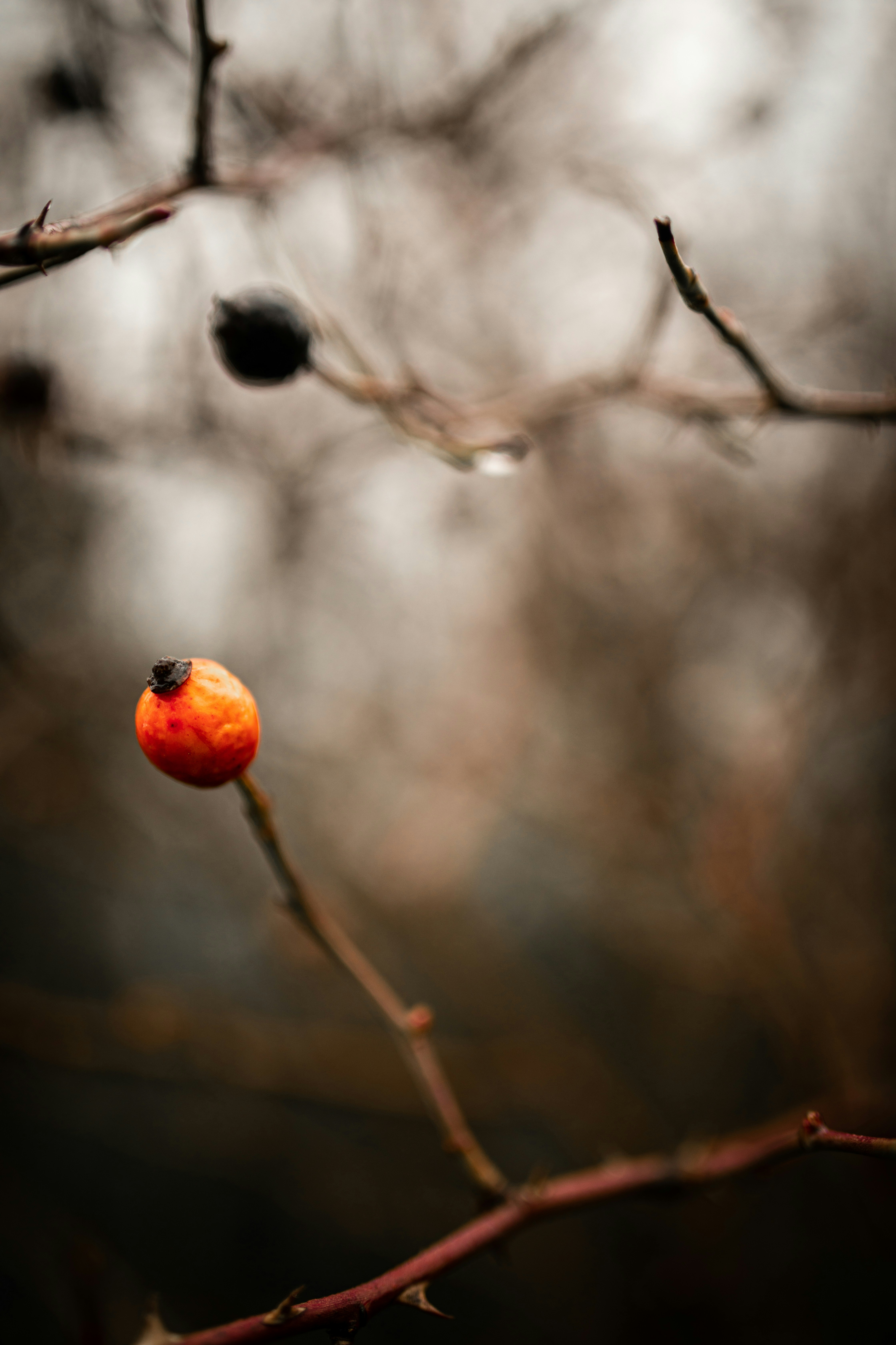 Photo by kajareichardtphotos