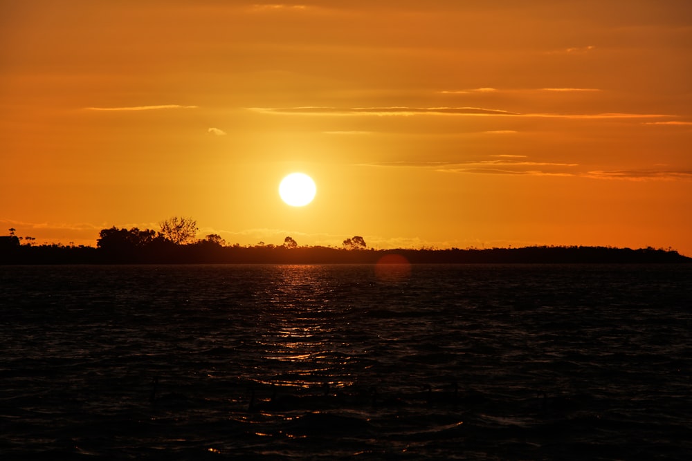 silhouette of trees during sunset