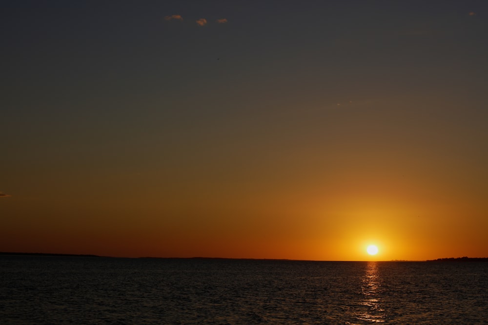 silhouette of birds flying over the sea during sunset