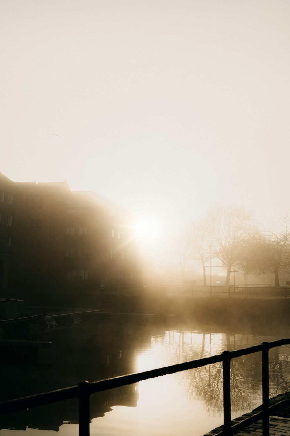 bare trees near body of water during foggy day