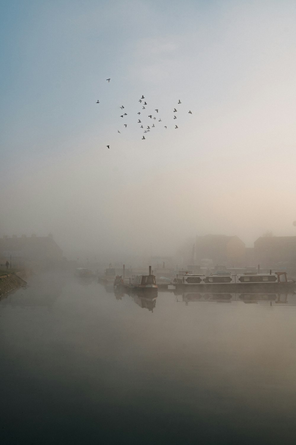 birds flying over the lake during daytime