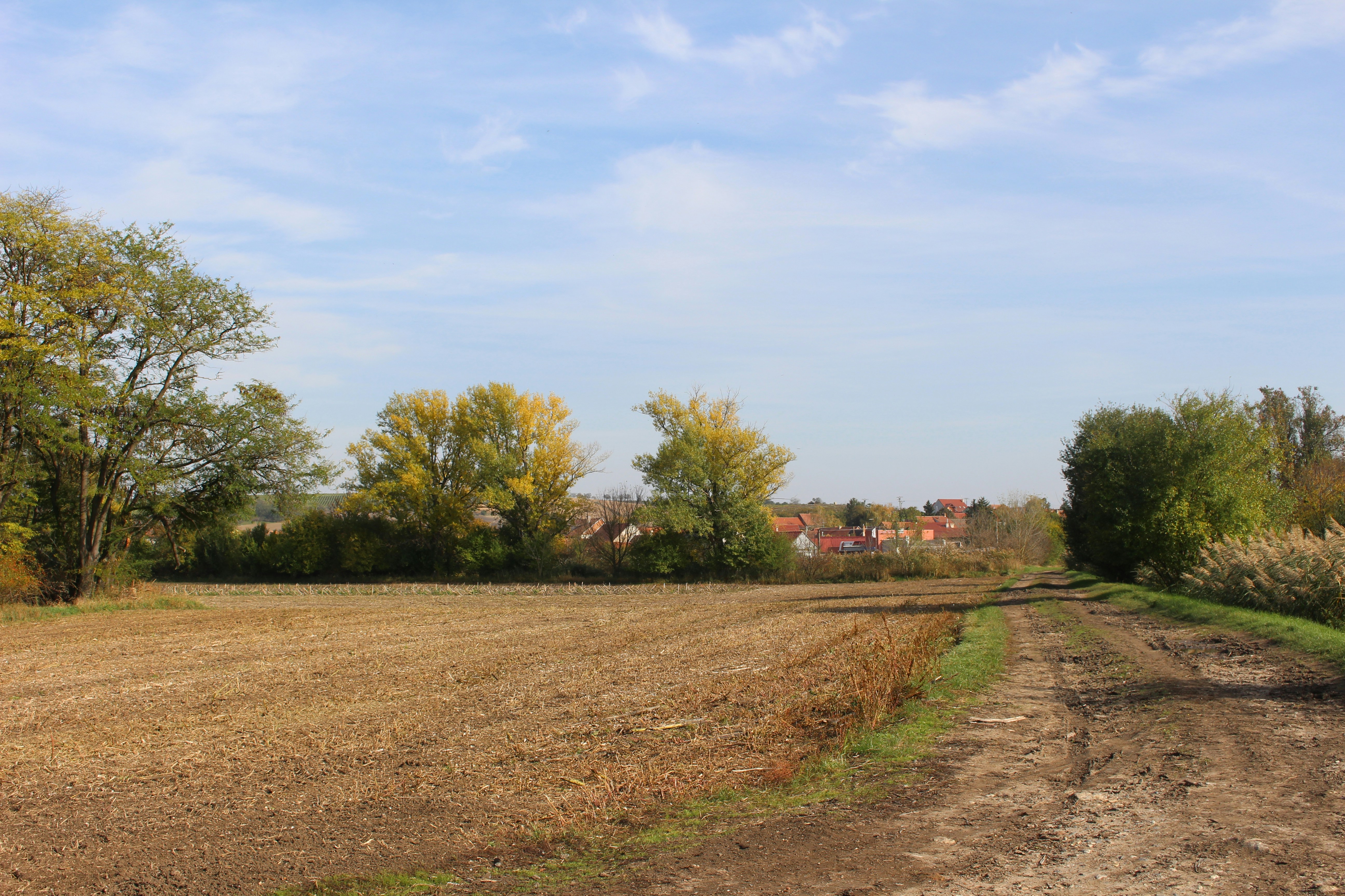 Photo by marjorylucabaxter