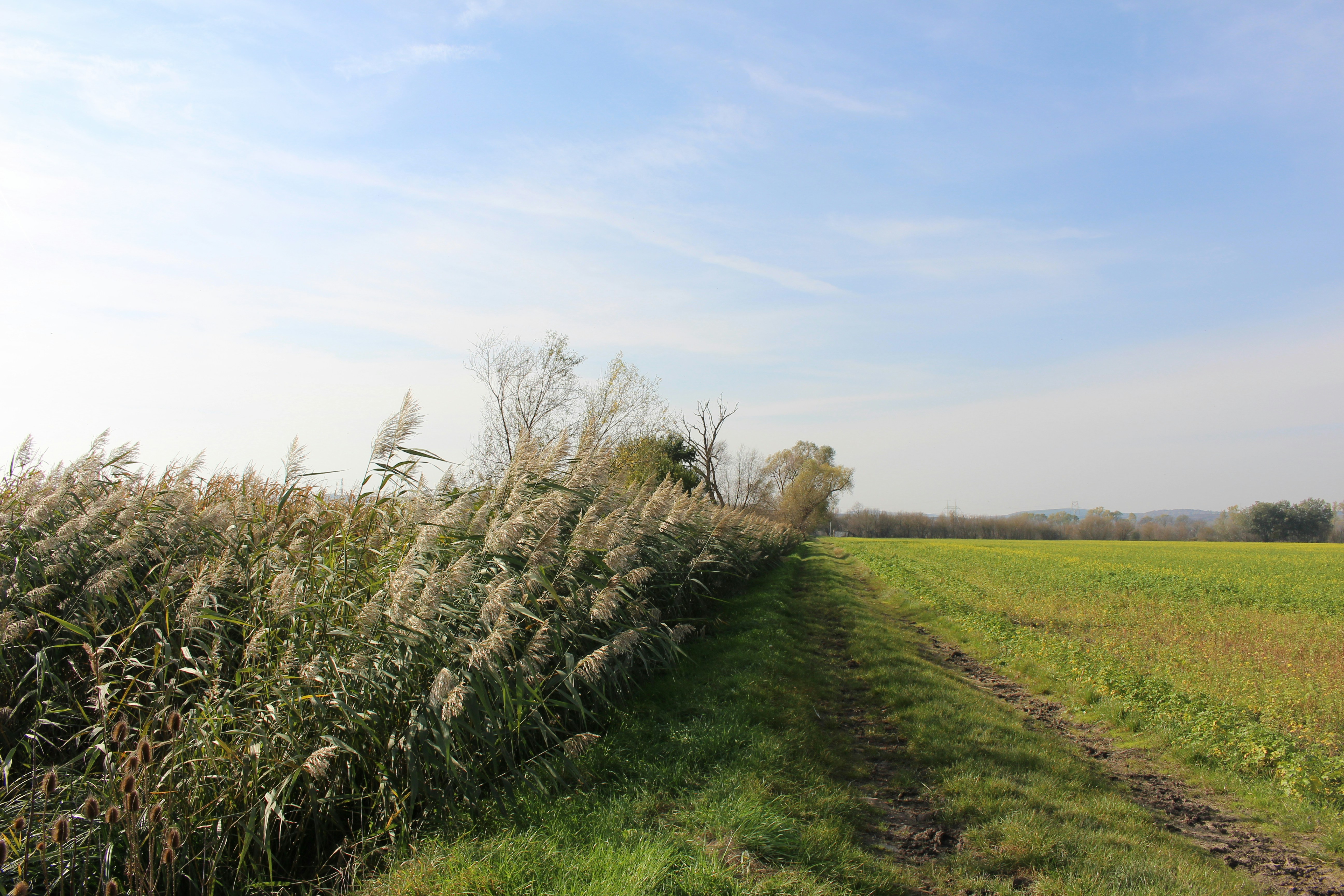 Photo by marjorylucabaxter