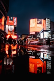 people walking on street during night time