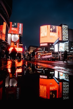 people walking on street during night time