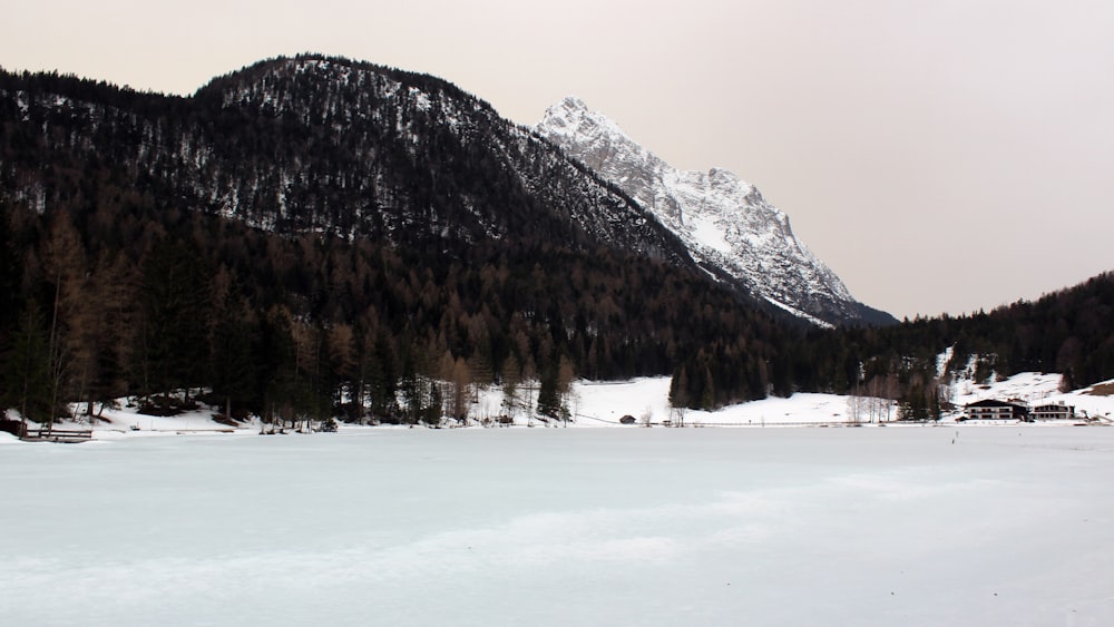 snow covered field and trees near mountain during daytime