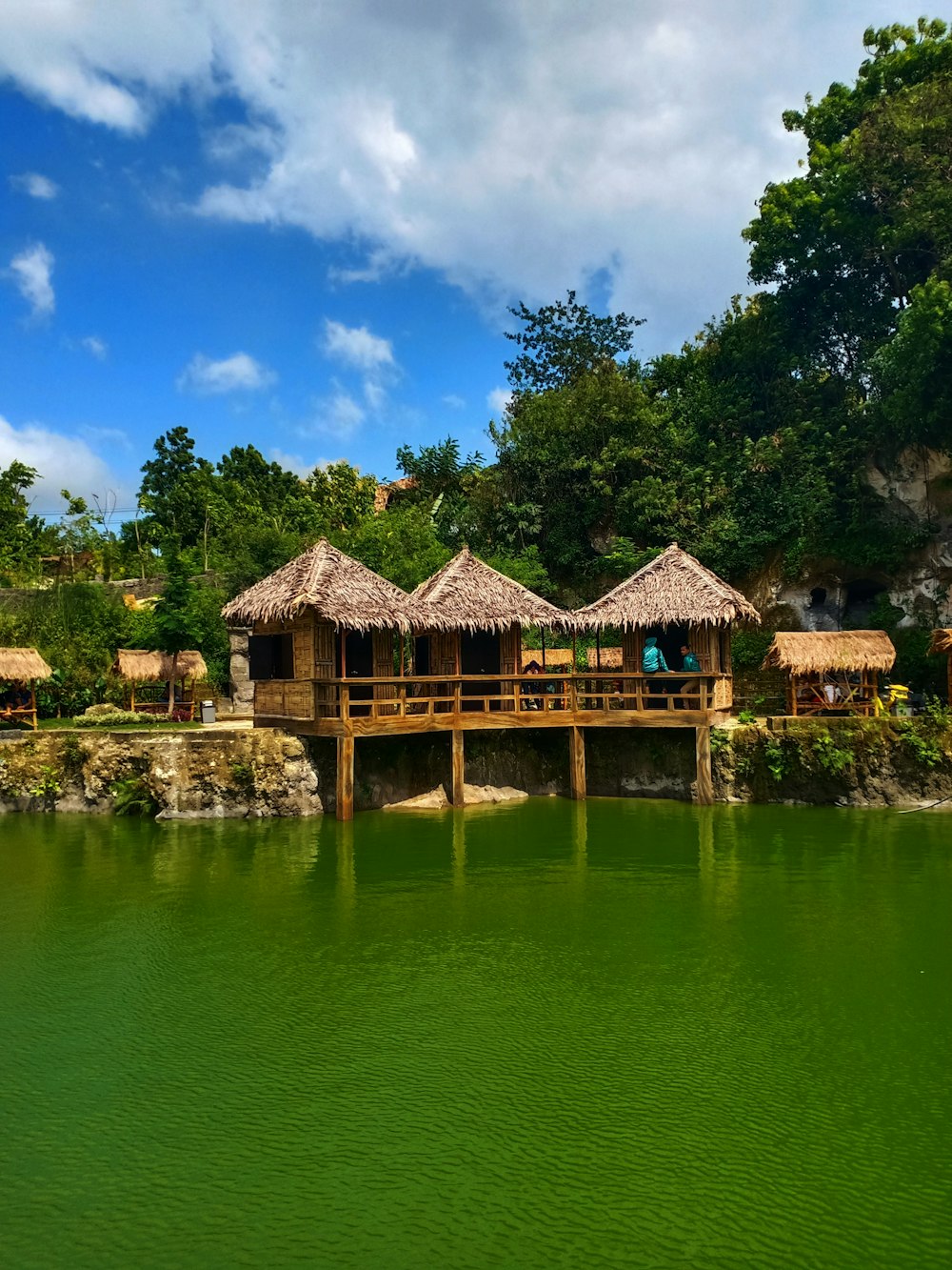 brown wooden house on green lake surrounded by green trees under blue sky during daytime