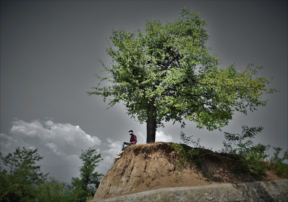 man in black shirt sitting on brown rock near green tree under gray sky during daytime