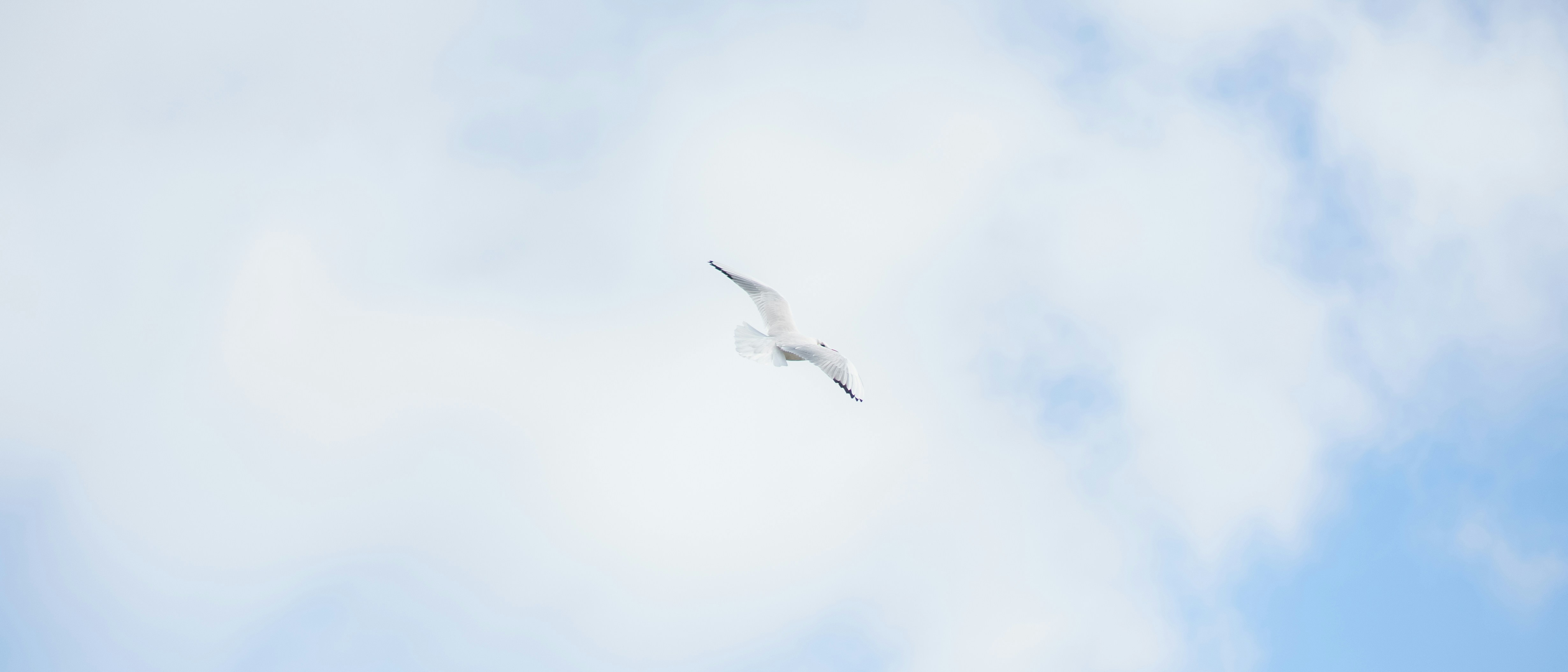 Photo by motivesandplaces