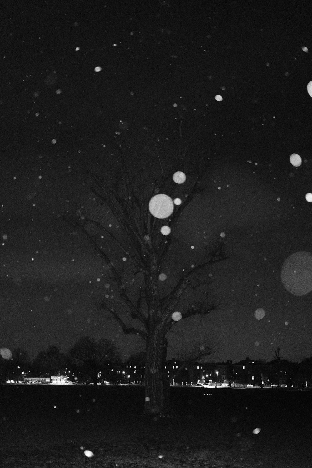 grayscale photo of tree and moon