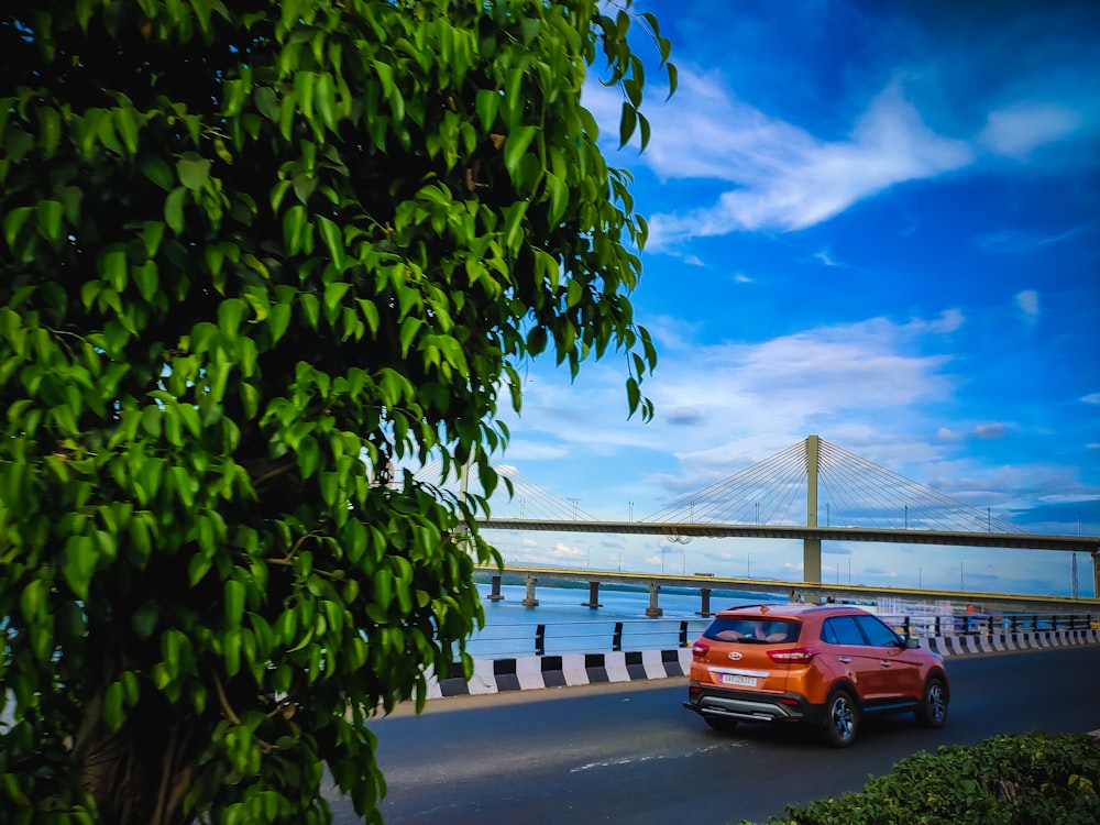 Orangefarbenes Auto auf grauer Betonstraße in der Nähe der Brücke unter blauem Himmel tagsüber