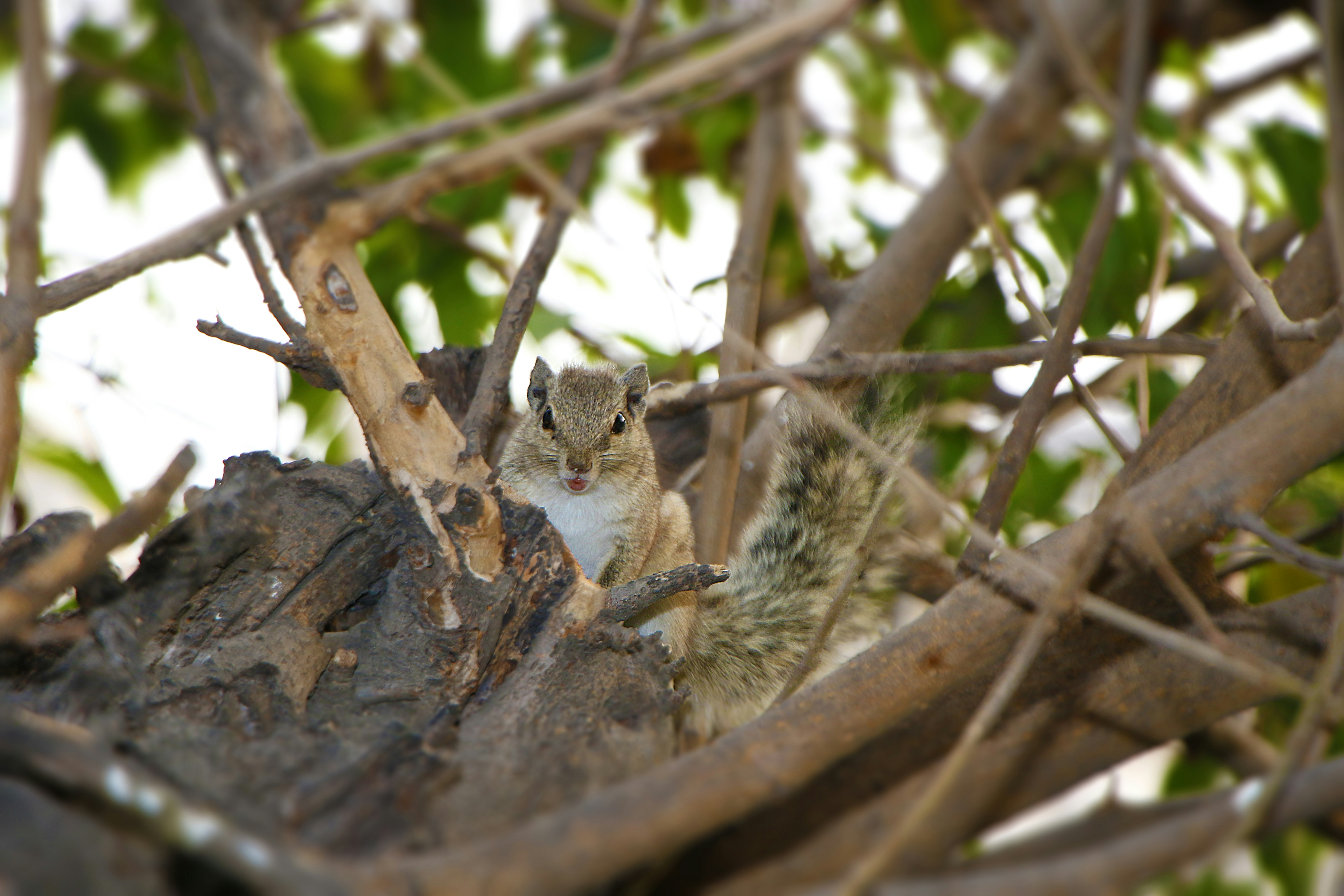 Photo by harpreetkaka