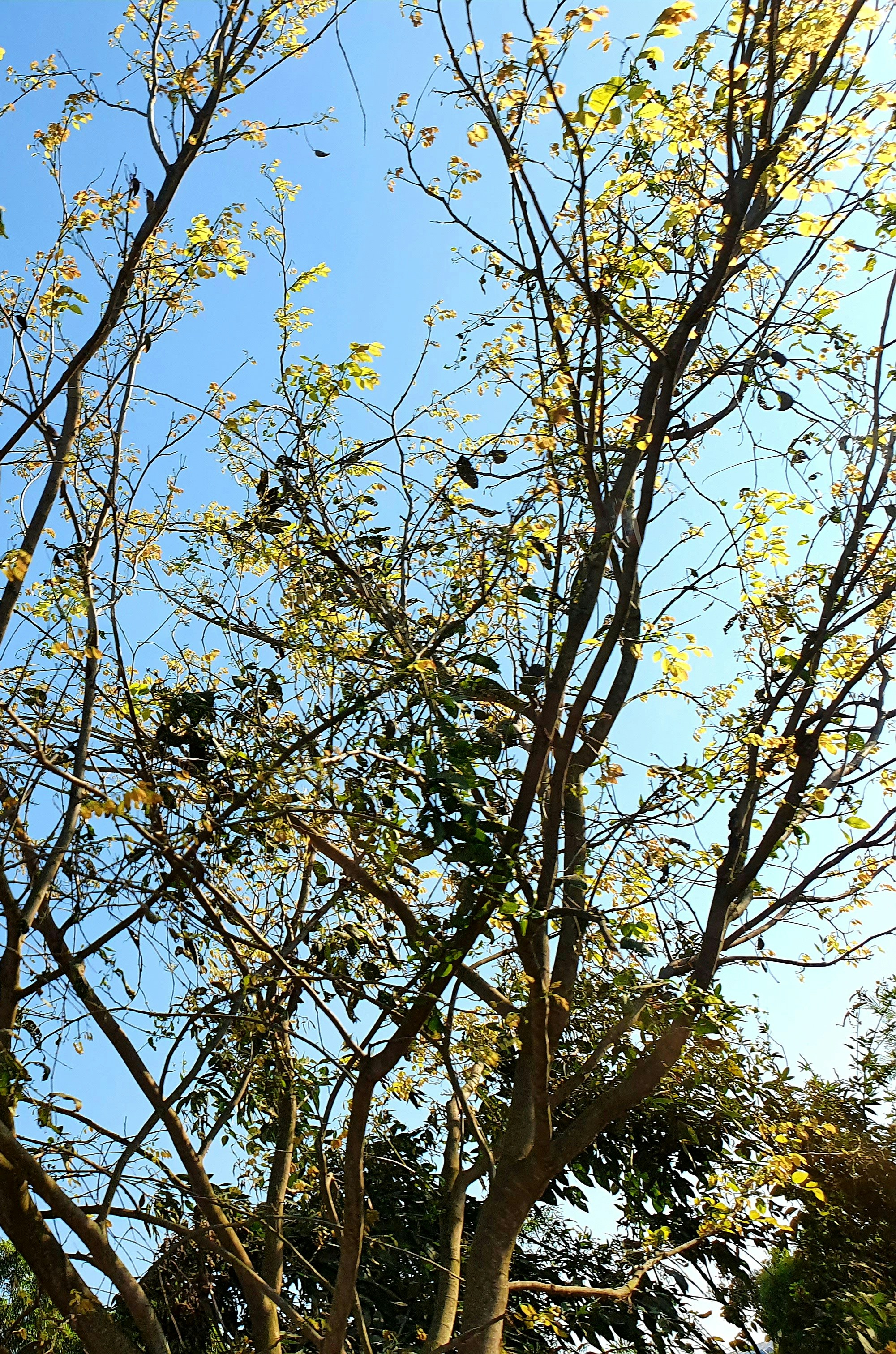 Photo by dhriti_das007