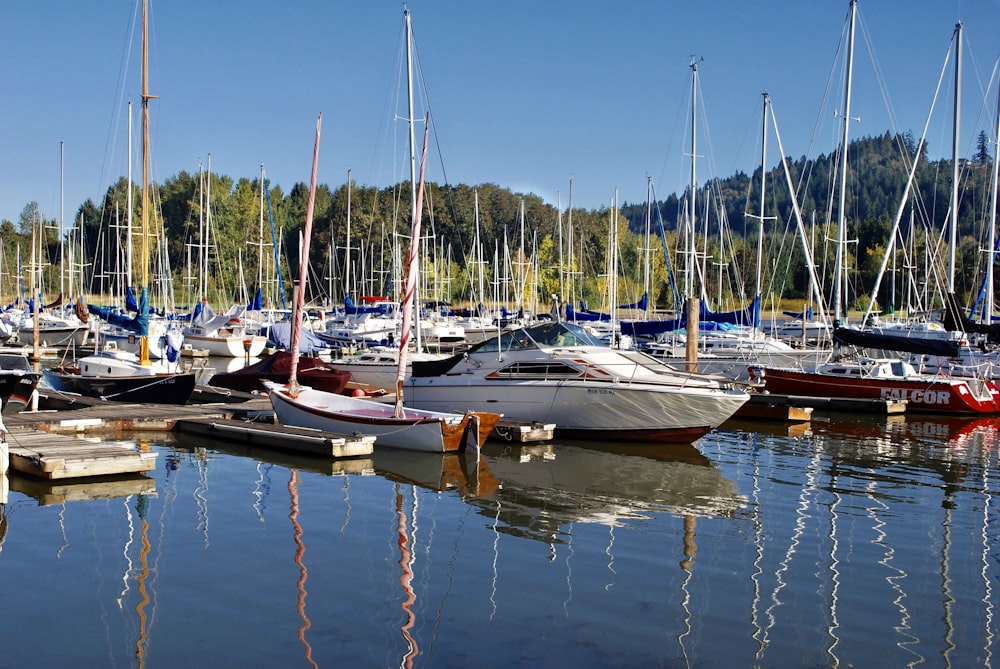 white and brown boats on dock during daytime